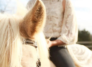 In hartsverbinding OP je paard - individueel op jouw locatie - Tegen oefentarief