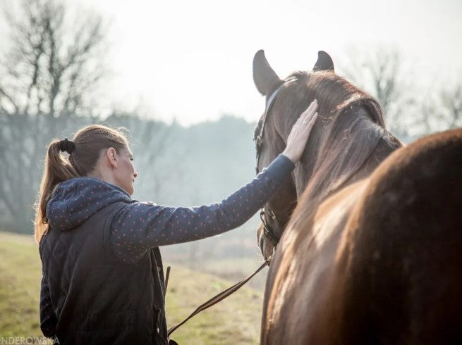 In hartsverbinding MET je paard - individueel op jouw locatie - Tegen oefentarief