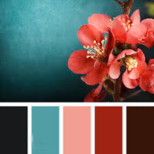 Palet: Earth colors of Romance