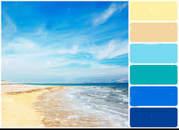 Palet: beach