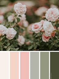Palet: Soft Rose
